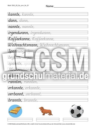 DSS_2S_Bu_ann_Nr_01.pdf